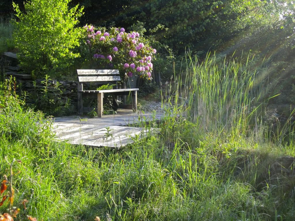 Het Groene Huis 몬샤우 외부 사진